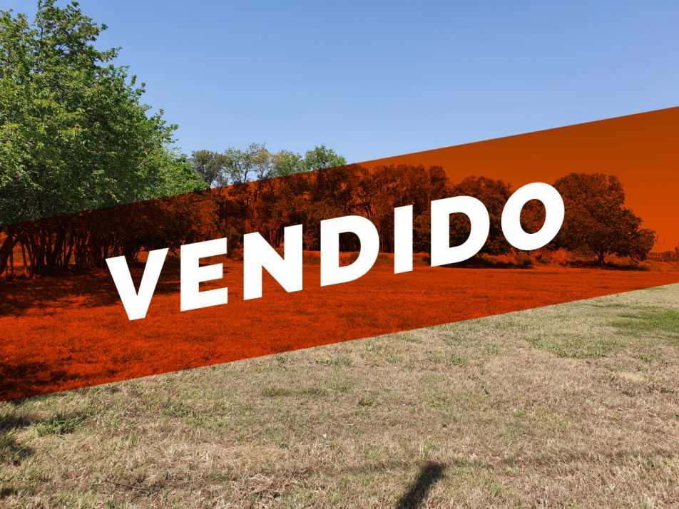 Lote Terra Nostra Vendido